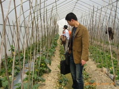 苦參堿殺菌劑——綠色植保新選擇，誠邀廣東地區(qū)經銷商合作共贏