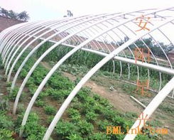 供應新型大棚支架 安陽星光種植技術開發(fā)引領農業(yè)現(xiàn)代化