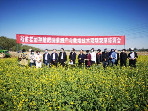 飼料綠肥油菜種植加工綜合利用關鍵技術研究與示范現(xiàn)場觀摩會成功舉辦，助推種植技術開發(fā)與集成應用