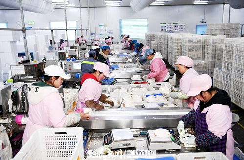 日產量達70噸，產值60余萬元 工廠化種植食用菌助農增收的技術開發(fā)與實踐