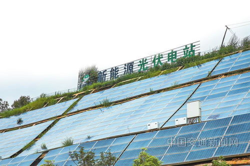 云南交投集團 以新質生產力賦能綠美通道經濟，推動種植技術開發(fā)創(chuàng)新