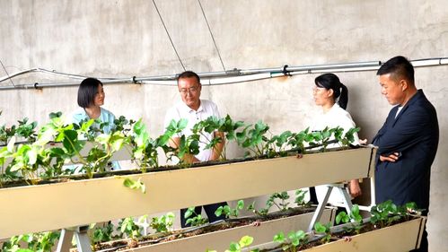 科技興農繪藍圖 縣委書記楊家佳深入調研，擘畫鄉村產業振興新路徑