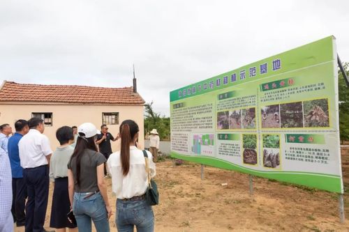 綠富雙贏 全市林下經濟產業發展觀摩活動暨種植技術開發新篇章