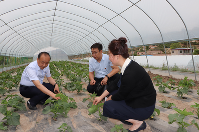 黨建引領(lǐng)促發(fā)展 技術(shù)扶貧暖人心——蘭州高新區(qū)“兩新”組織黨委攜手愛(ài)心企業(yè)開(kāi)展“支部結(jié)對(duì)共建、助力脫貧攻堅(jiān)”主題黨日活動(dòng)側(cè)記